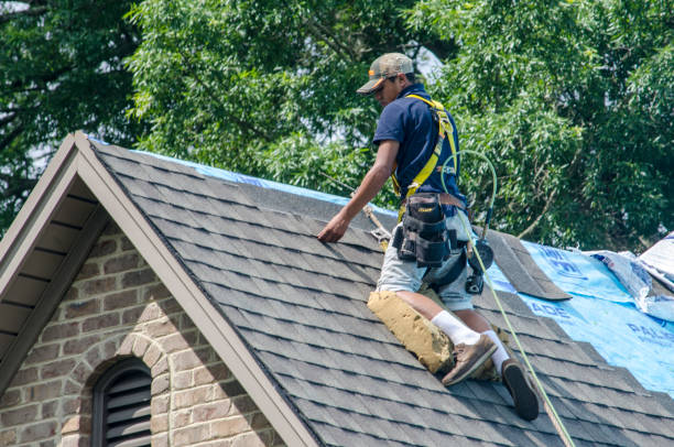 Best Roof Repair Services  in Mack, OH